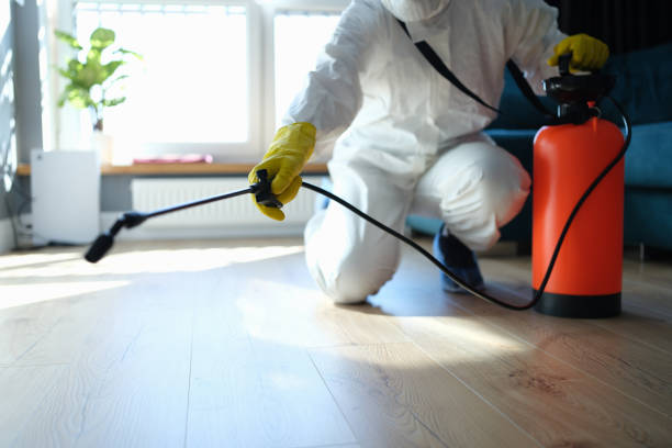 Reliable Infectious Disease Decontamination contractor in Blue Ridge, GA by Trauma Clean Pros